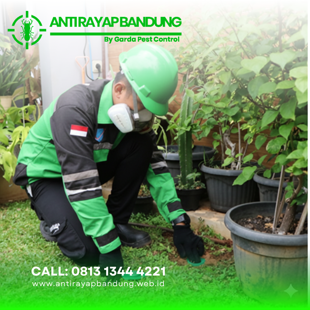 Jasa Anti Rayap Terbaik di Bandung Bergaransi Hingga 5 Tahun