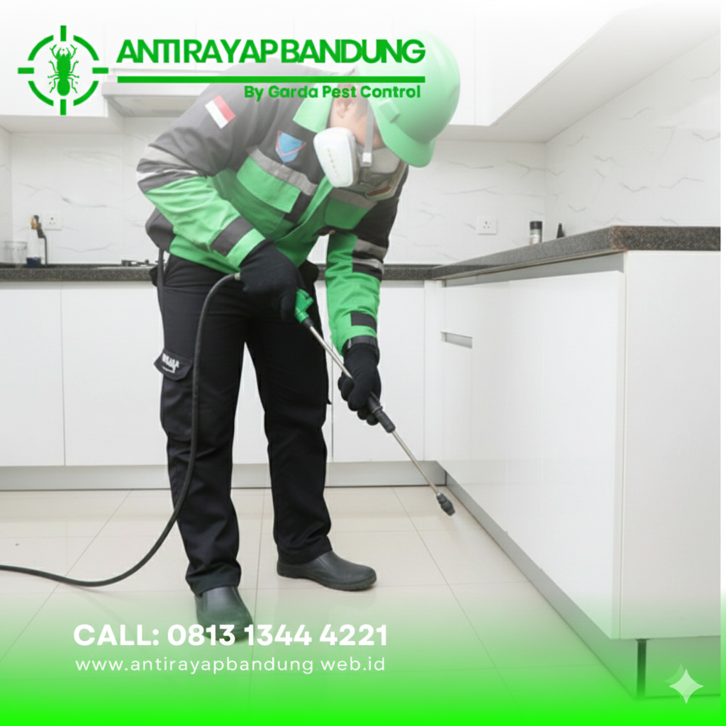 Jasa Basmi Rayap dan Laron di Bandung