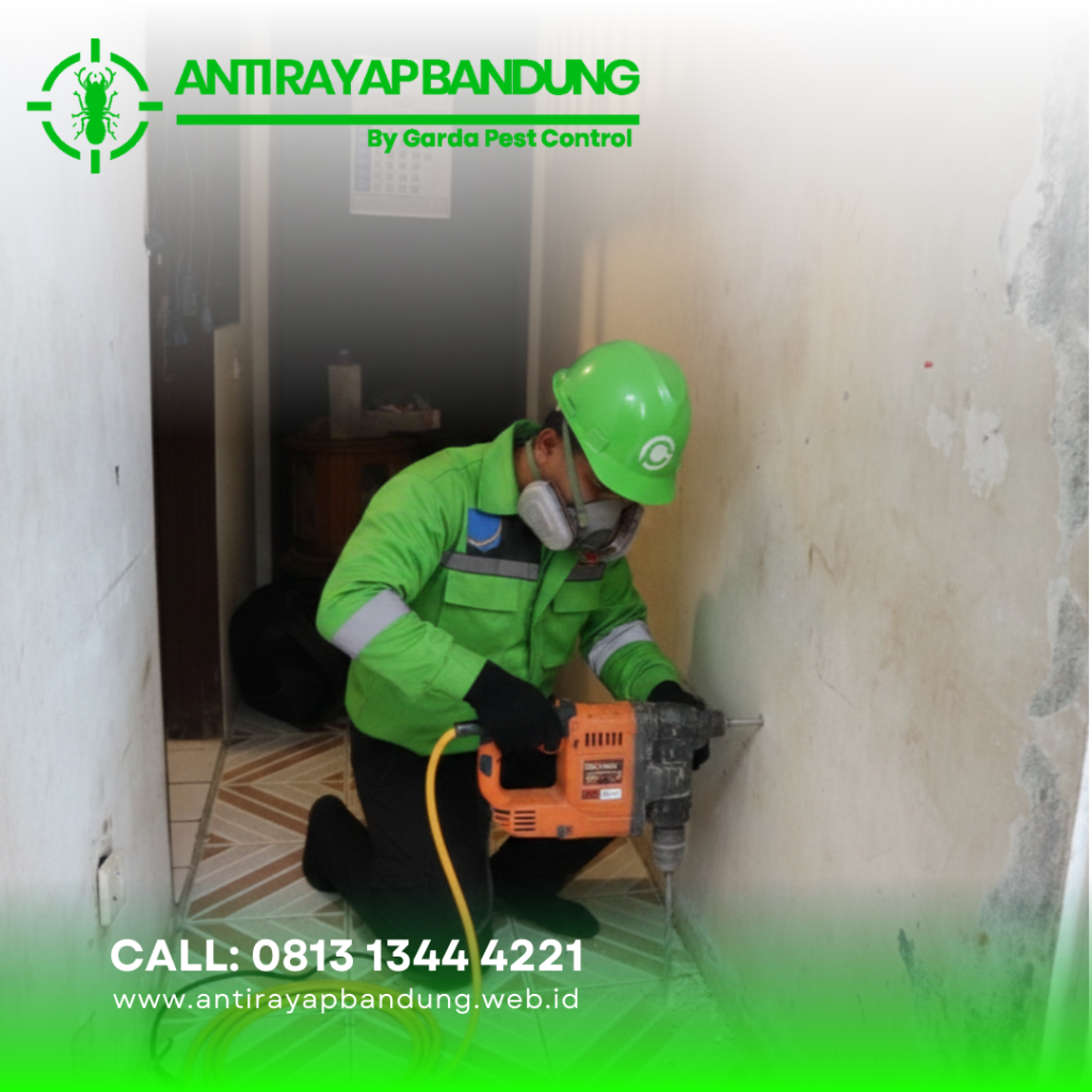 Vendor Jasa Anti Rayap di Bandung Terbaik & Recommended