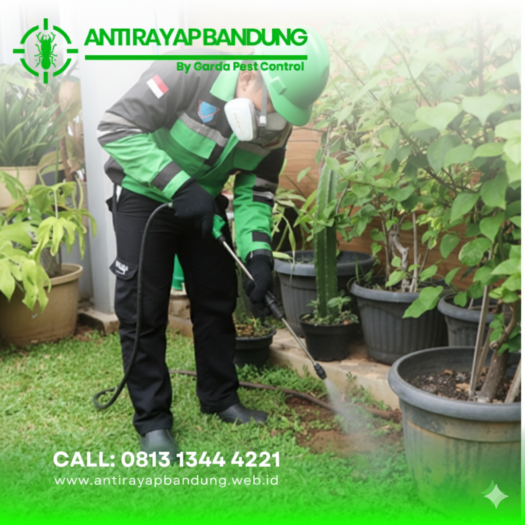 Basmi Rayap di Bandung | Layanan Profesional & Bersertifikat - Gambar 3