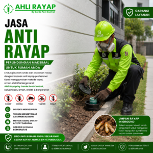 Cara Memilih Jasa Anti Rayap Bergaransi di Bandung