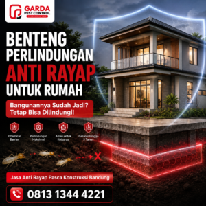 Perbedaan Metode Suntik Rayap dan Sistem Baiting Umpan